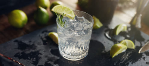 Gin 101 Masterclass