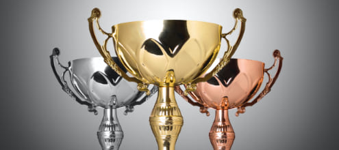 Awards Of Excellence