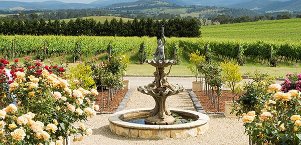 LTB Picnic at Tokar Estate